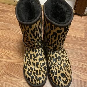 Leopard ugg boots